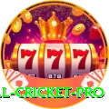 all cricket Casino Prime v2.8.7