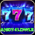 andy flower Premium Edition v4.7.3