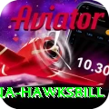 antigua hawksbill Games (Casino & Earning) Elite v4.9.1