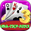 asia cup 2022 Pro Edition v5.0.0