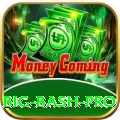 big bash Ultimate PK v1.1.3
