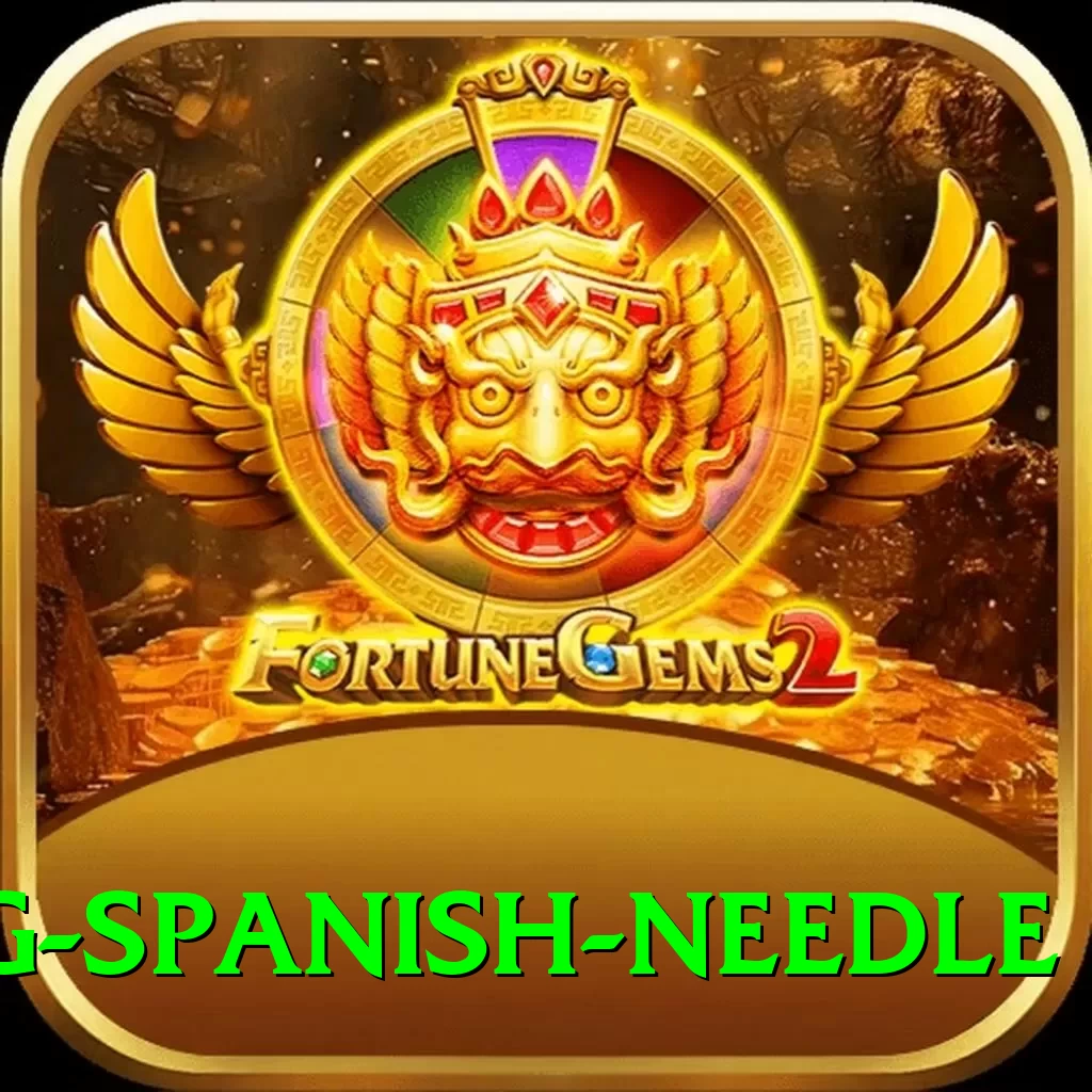 canyoning spanish needle Apps (Tools & Injectors) Turbo v3.5.0 - 2