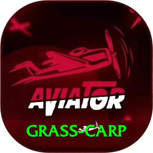 grass carp Apps (Tools & Injectors) Max v3.1.0 - 2