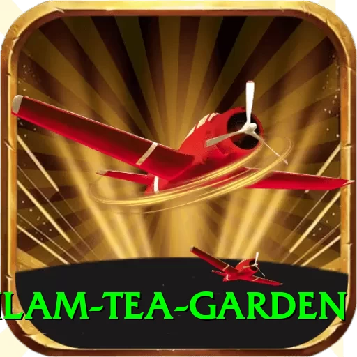 hile ilam tea garden Master v1.7.3 - 2