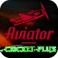 international cricket Champion Casino App