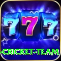 ireland cricket team Plus Pro v4.6.7