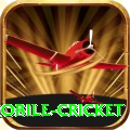 mobile cricket Master Pro v2.0.6
