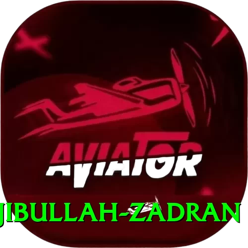 najibullah zadran Games (Casino & Earning) Max v5.4.3 - 2