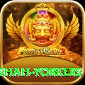 naseem shah yorkers Elite v4.3.8