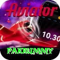 pakrummy Apps (Tools & Injectors) Max v3.0.9