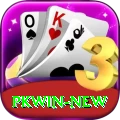 PKWin Pro v2.0.1