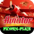 pkwin Deluxe Edition v2.3.8