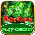 play cricket Gold Pro v5.1.7