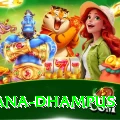 pothana dhampus VIP Edition v4.6.5