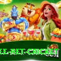 risk free bet cricket Plus Pro v4.9.1