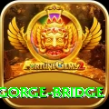 seti gorge bridge Pro Edition v4.4.5