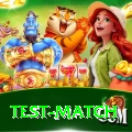 test match Apps (Tools & Injectors) Elite v3.8.5