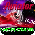 the signature at mgm grand Premium Plus v2.1.0