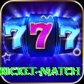 to day cricket match Premium Plus v2.2.2