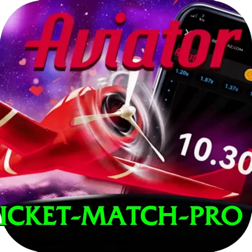 to day cricket match - Gaming Deluxe - 2