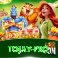 tojay Live Pro
