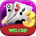 wc t20 Gold Pro v1.1.5