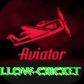 willow cricket VIP Pro v3.7.7