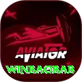 winbaobab Pro Edition v3.1.7