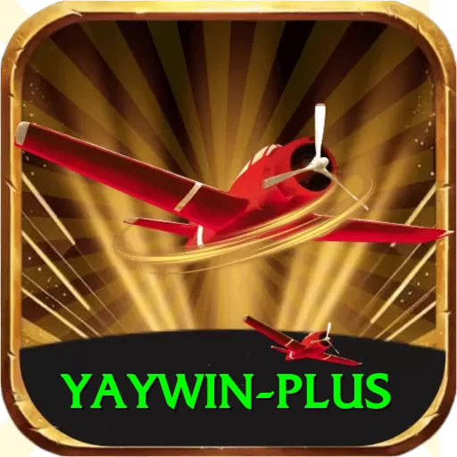 yaywin VIP v5.5.0 - 2