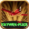 yaywin VIP v5.5.0